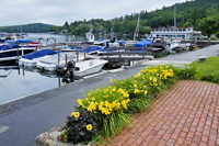 Sunapee Harbor, NH - Yellow Flowers and Boats